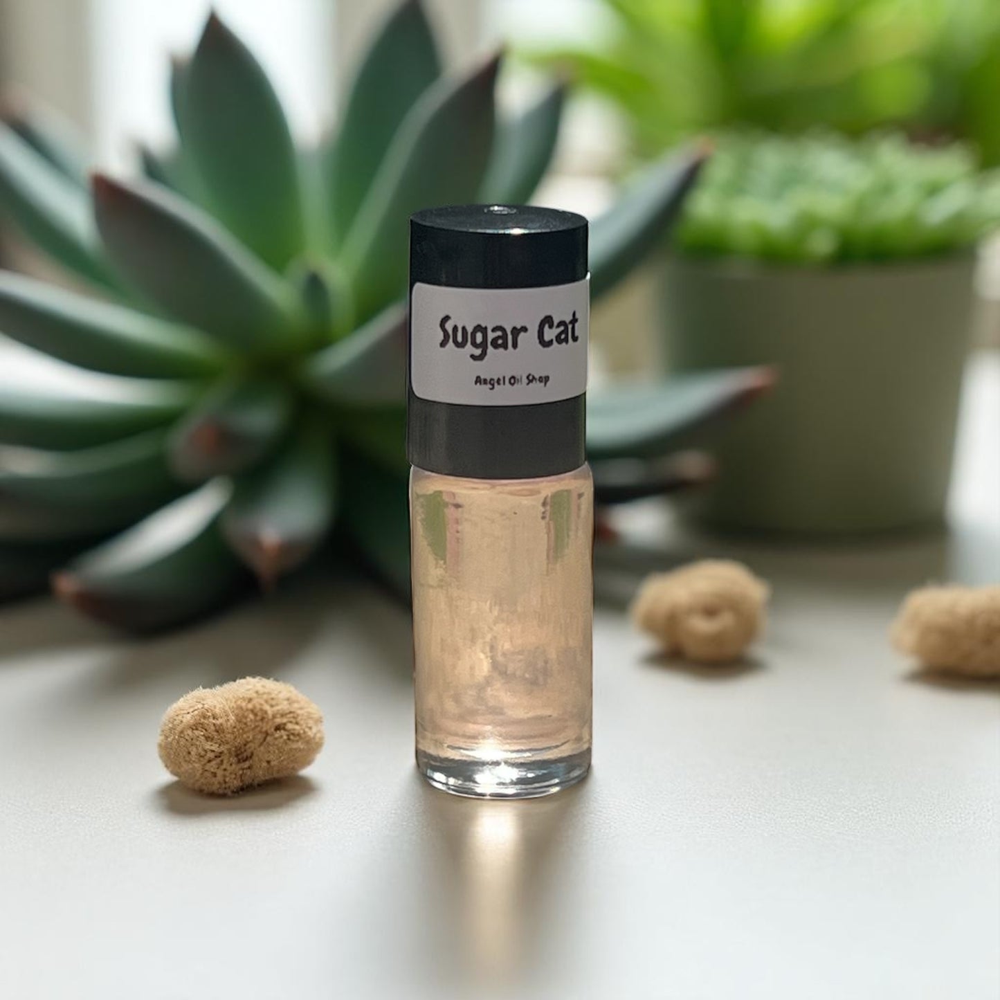 Sugar Cat